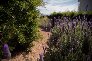 Venue-photos-flowers