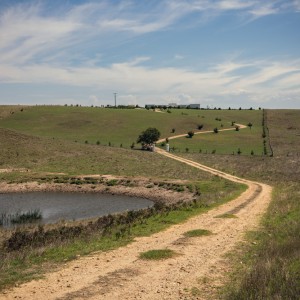 Venue-photos-frontdistant